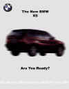 bmwblur.jpg (28566 bytes)