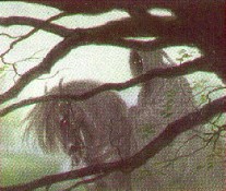 Nazgul