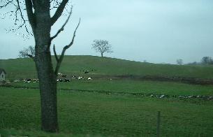 ohioroad.jpg (9877 bytes)