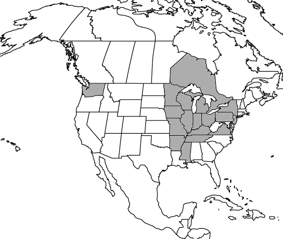 nammap.gif (24307 bytes)