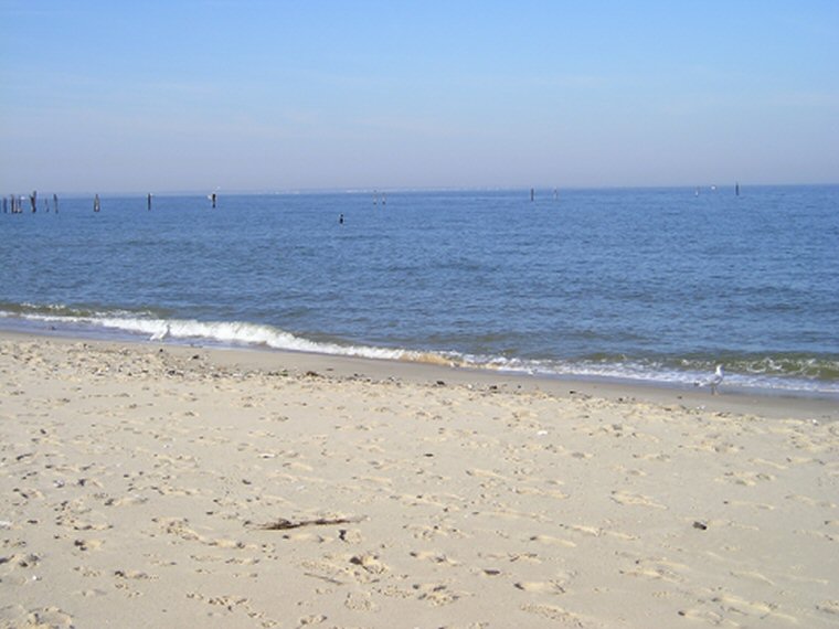 Ocean View Beach