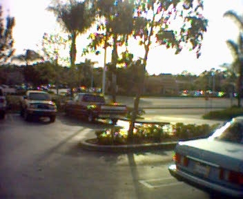 MFFY Pickup at TGIF's
