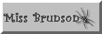 spidbuttonB.gif (2691 bytes)
