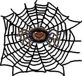 spider.gif