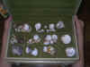 shells.jpg (72447 bytes)