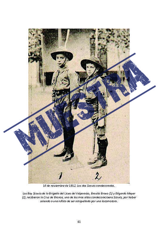 Imagen 7