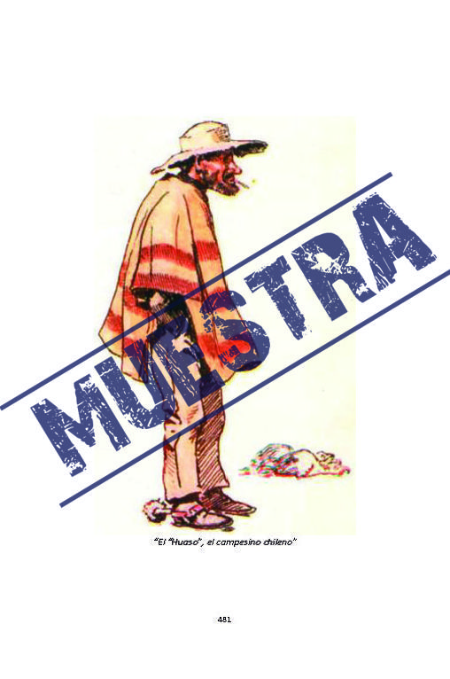 Imagen 16