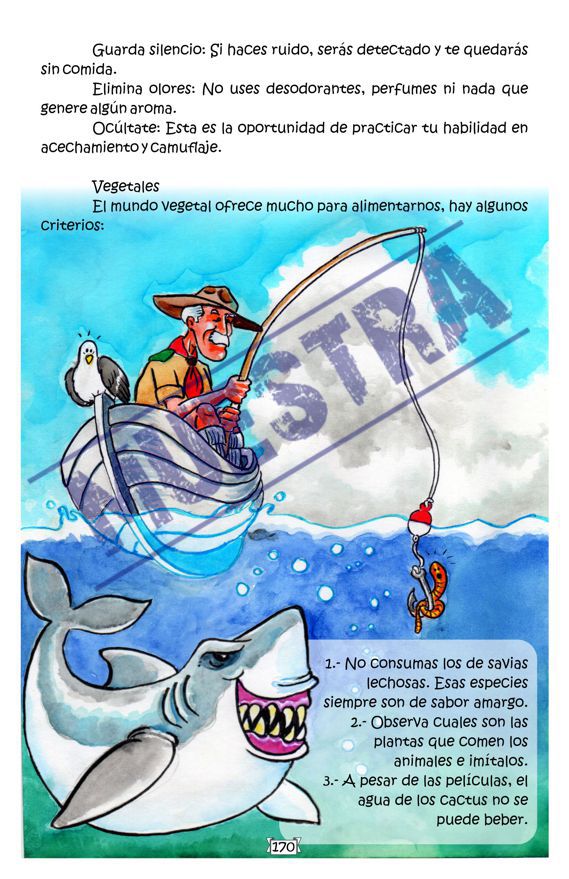 Imagen 29