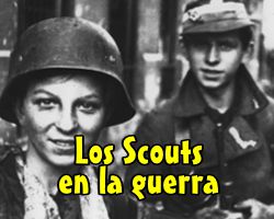 Imagen 8