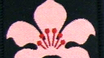 Card 16