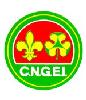 italy-cngei_thumb.jpg 3.5K