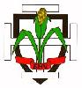 upper-volta-scouts-de-bf_thumb.jpg 3.6K