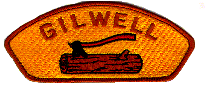 I participated in Woodbadge for the 21st Century in SR 507