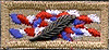 With a total of 30 merit badges I earned the rank of Eagle Scout and Bronze Palm