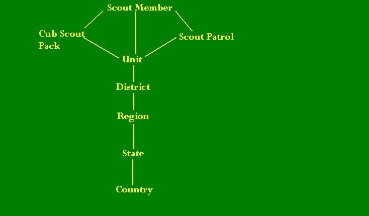 Graph of segment in scouts