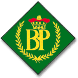 Baden-Powell Award