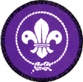 Scout logo world wide