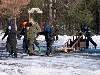 Let the Dogsled Race begin!