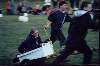 Nevin in the Great Chariot Race