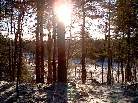 A Beautiful morning from the cabin door