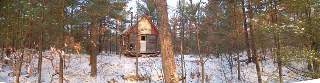 Our Cabin in the Woods!
