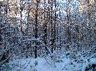 This is November?!