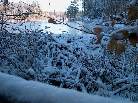 Frozen Beaver Dam