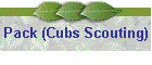Pack (Cubs Scouting)
