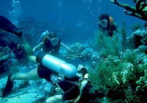 Scuba at Sea Base
