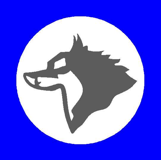 Loup gris