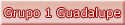 Grupo 1 Guadalupe