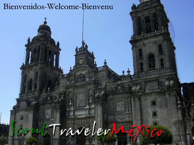 Scout Traveler M�xico