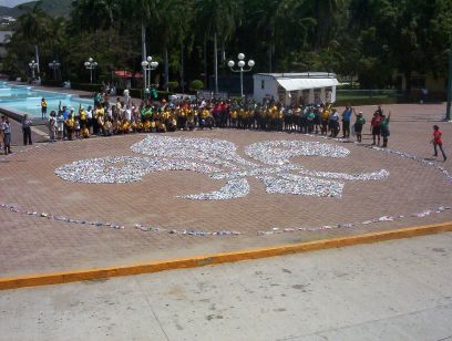 Flor de liz de Acapulco