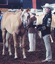 2001 World: Amy-Lauren Jones and No Buddy's Business prepare for class