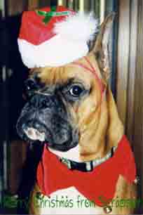 Scrapper Christmas Card 2001