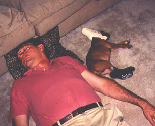 Newly-cropped baby Scrapper sleeps next to daddy Doug