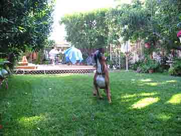Where is that Frisbie?