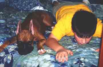 Two boys on the bed!