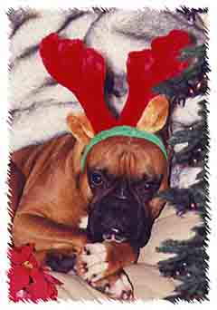 Scrapper Christmas Card 2002