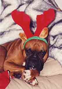 Another Scrapper Christmas photo 2002