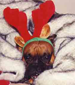 Scrapper Christmas Photo 2002