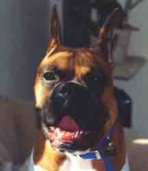 Scrapper smiles for the camera