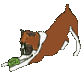 Graphic of playful Boxer