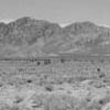 Just outside Area 51 in Nevada... The secret UFO base