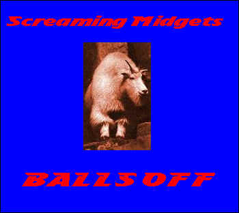 d_ballsoff.bmp (328278 bytes)