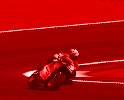redrider.gif (43712 bytes)