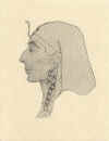 merenptah.JPG (21424 byte)