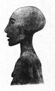 titimu.JPG (10037 byte)