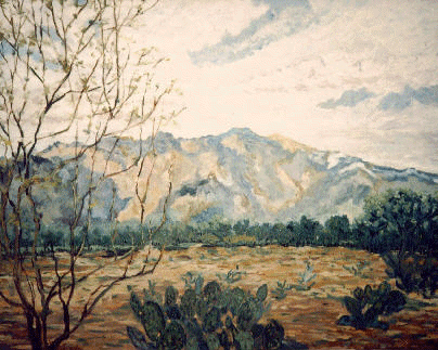 Desert Snow 24x30x1