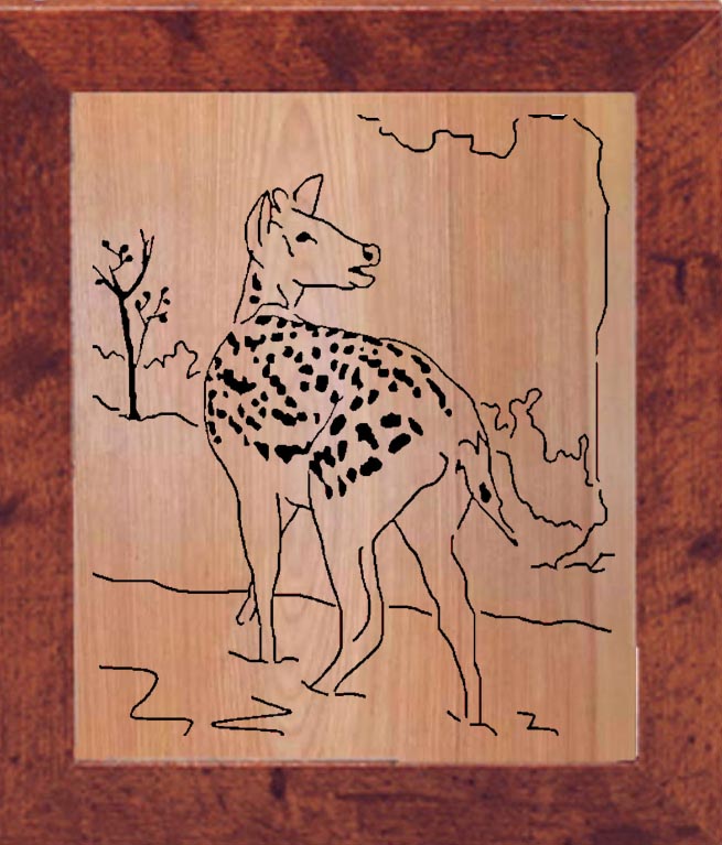 Deer